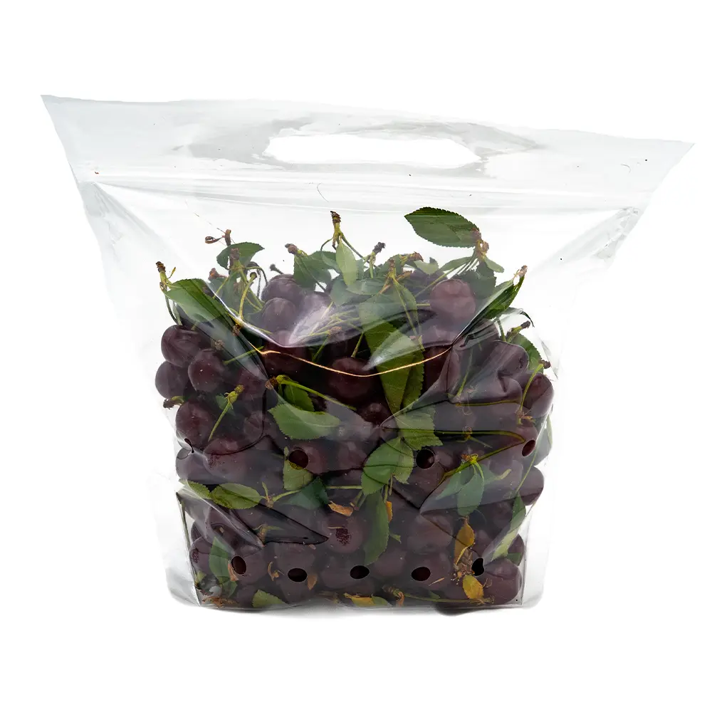 Sour Cherry (Vishnya)