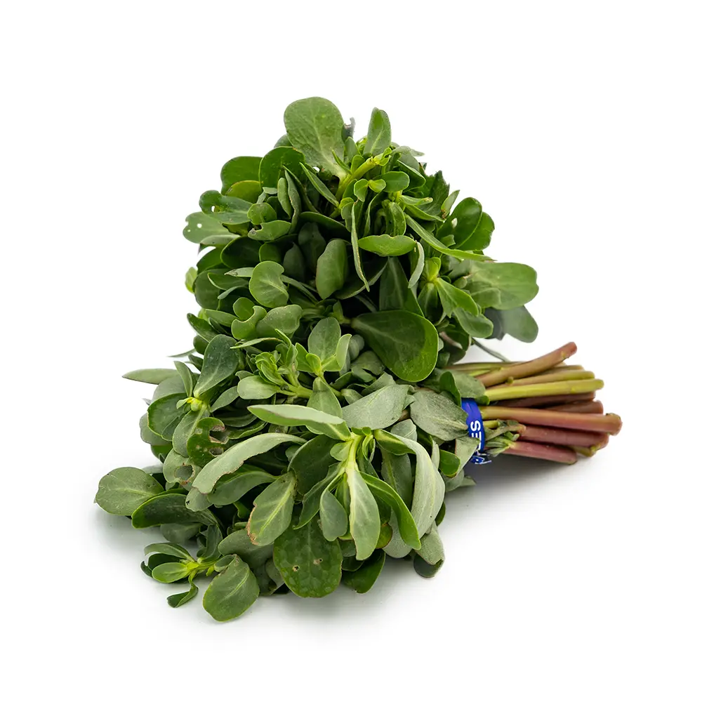 Verdolaga (Dandur) Bunch