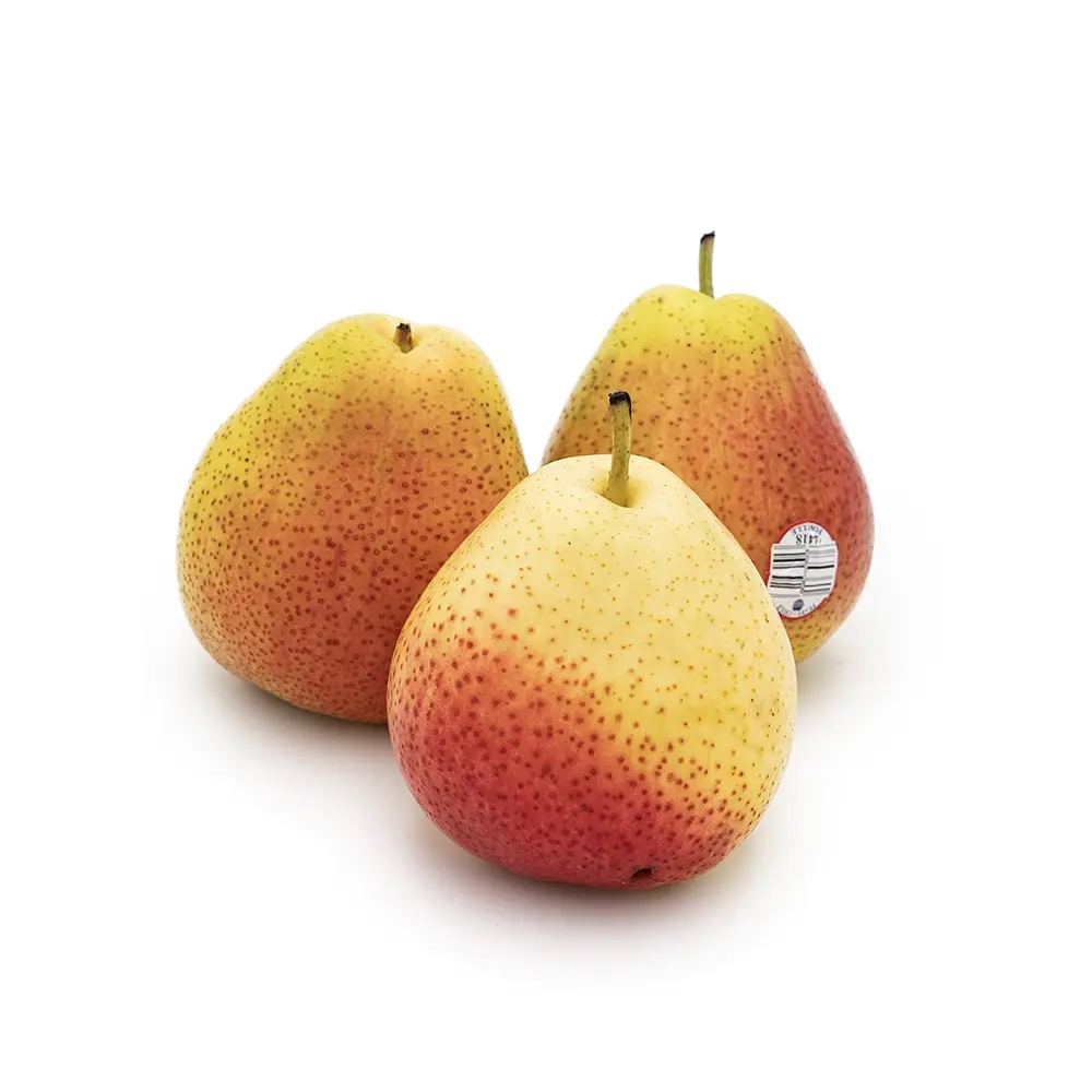 Big Forelle Pears