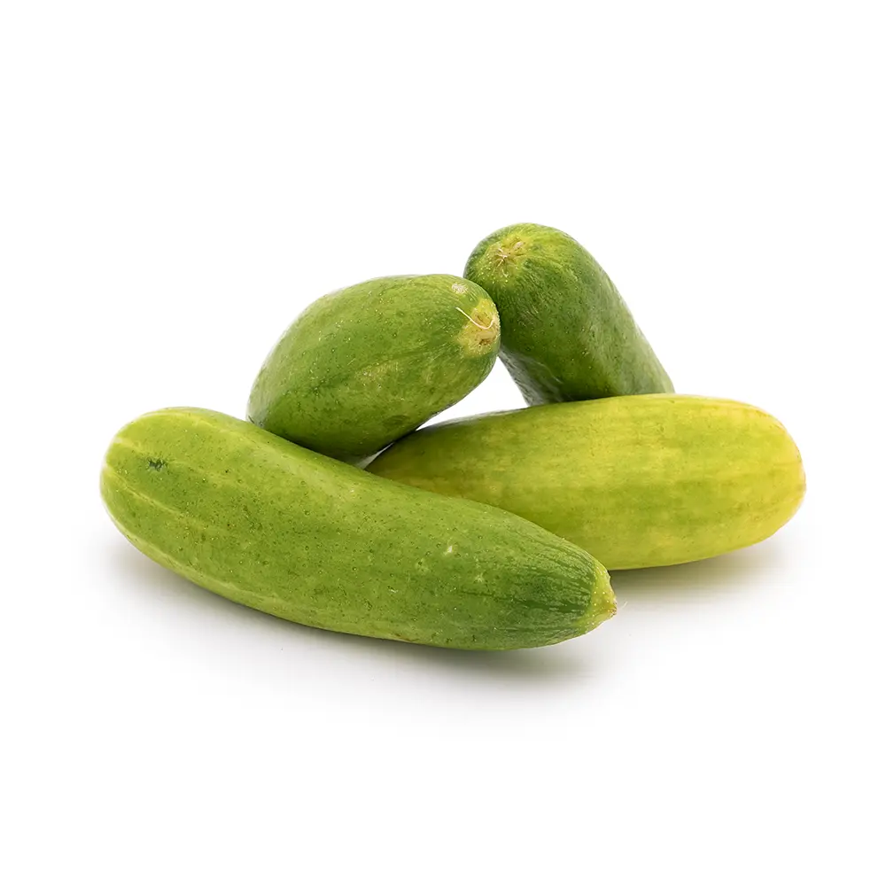 Nazrvan Cucumbers