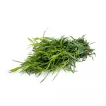 Tarragon Bunch