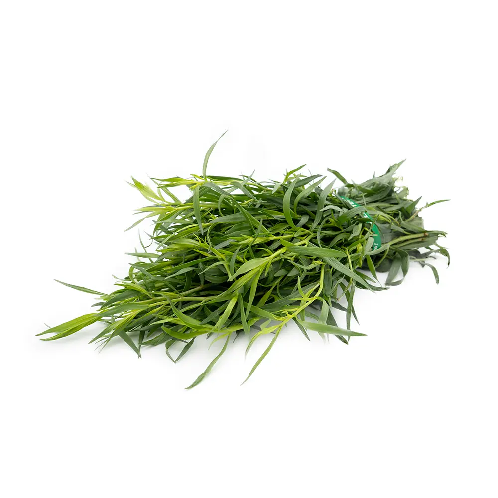 Tarragon Bunch