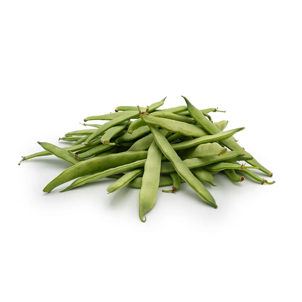 Armenian Green Beans