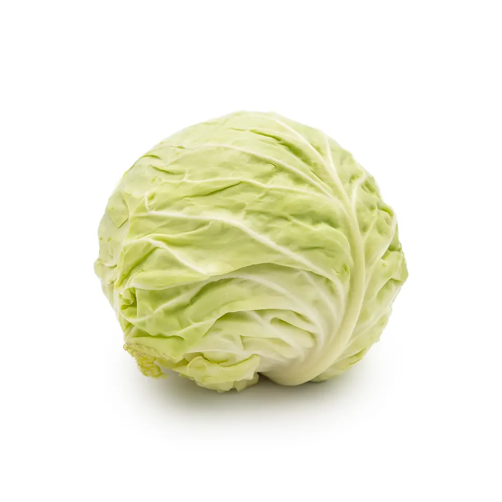 Green Cabbage