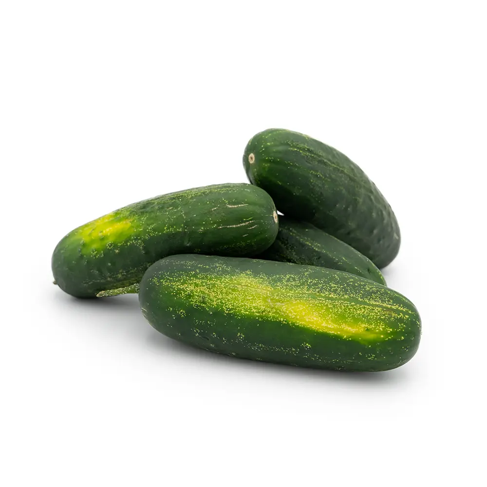 Regular Cucumbers