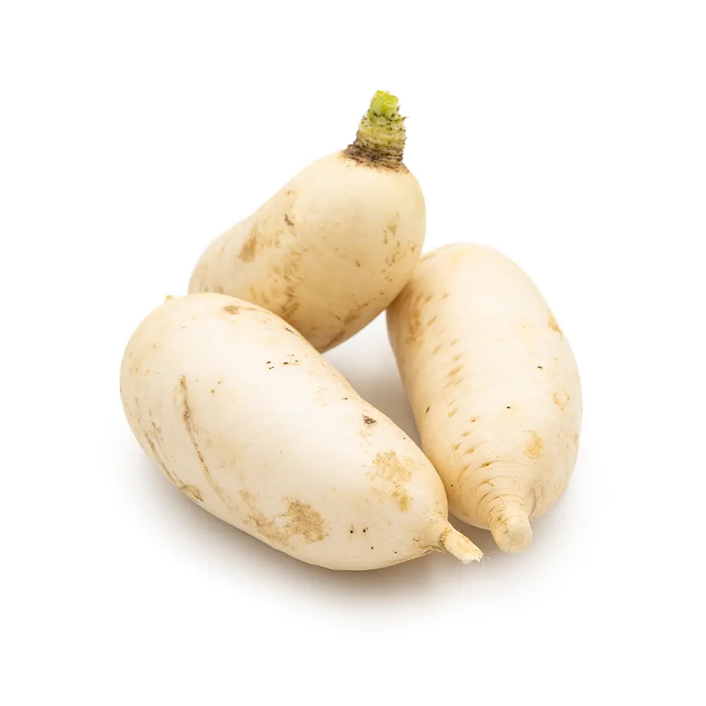 Daikon Radish
