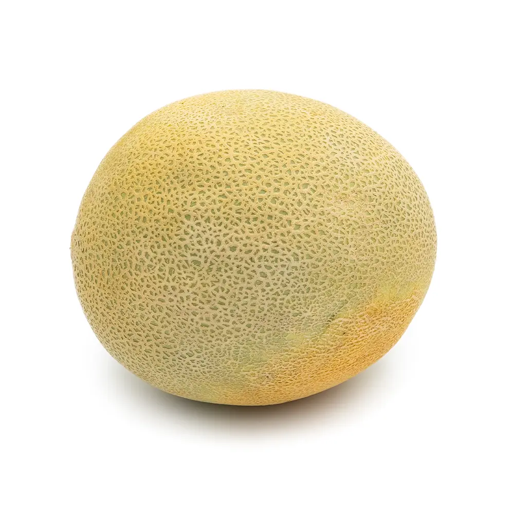 Cantaloupe Melon
