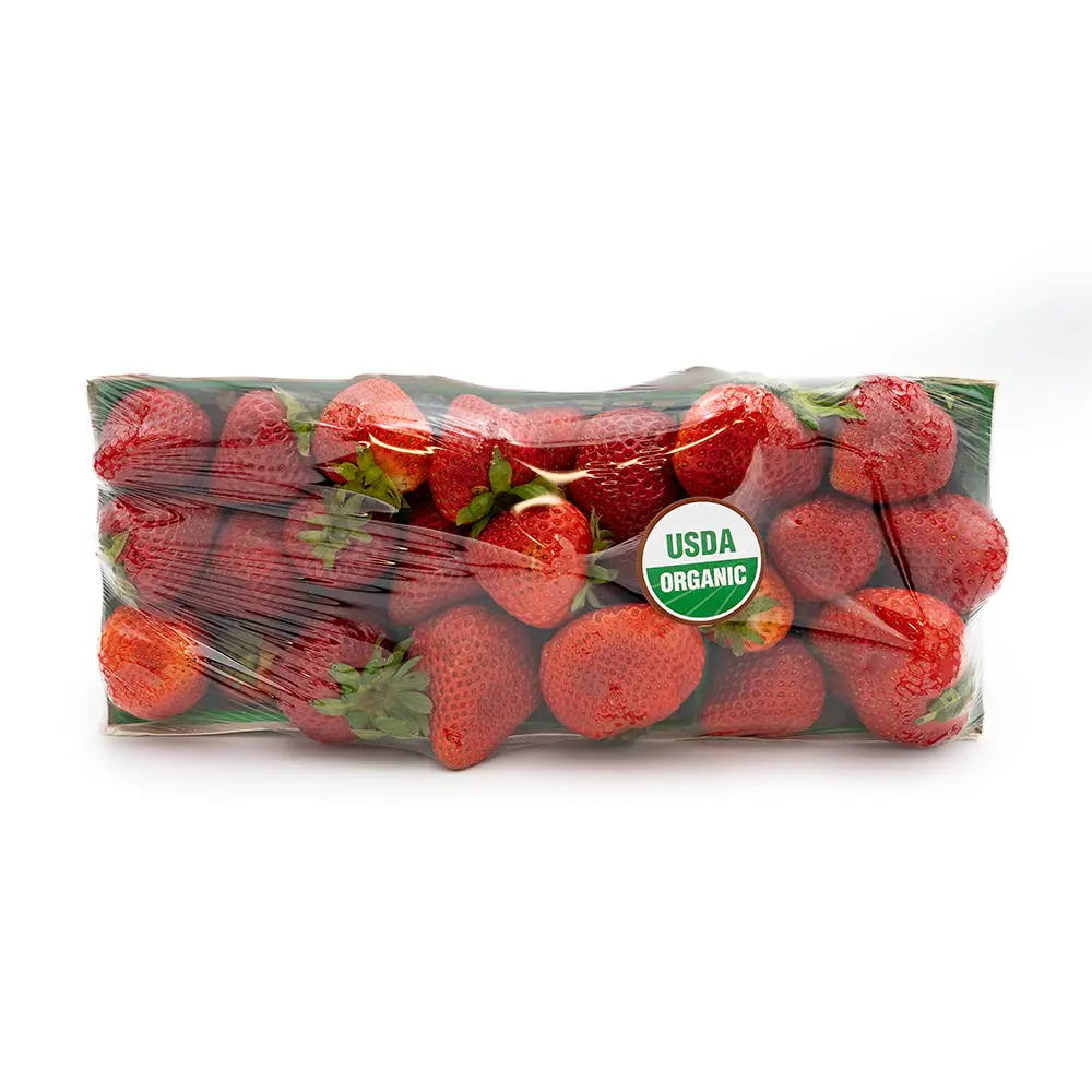 Organic Field (Dashti) Strawberries