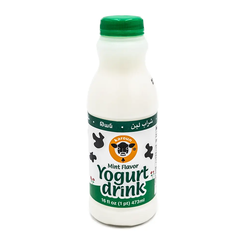Karoun Yogurt Drink Mint