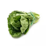 Lettuce