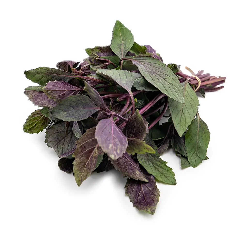 Red/Green Basil Bunch